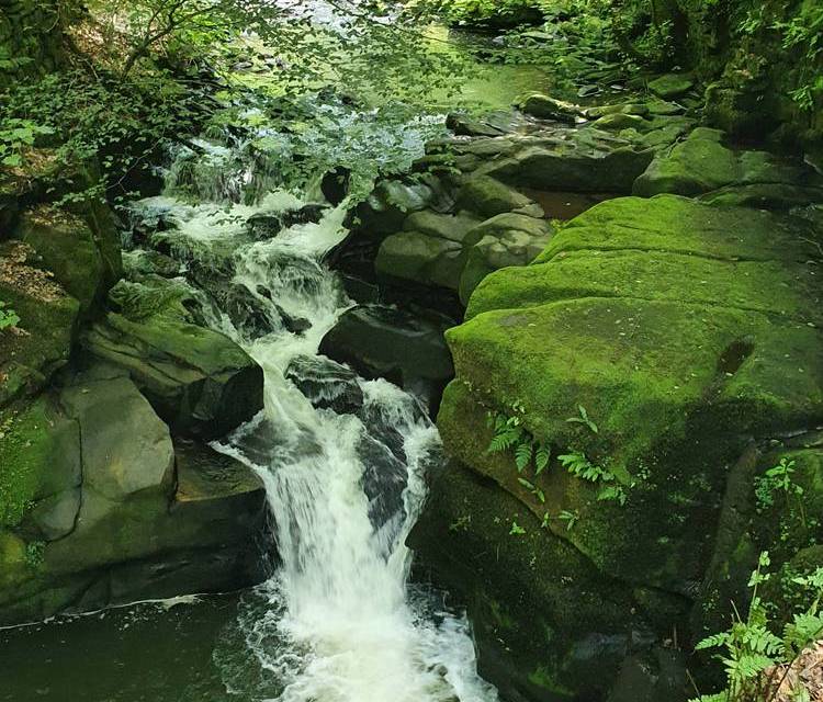 Preview of Healey Dell Fairy Chapel