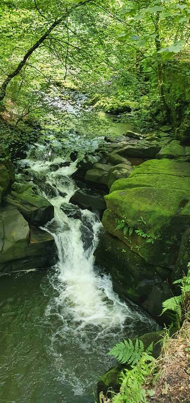 Preview of Healey Dell Fairy Chapel