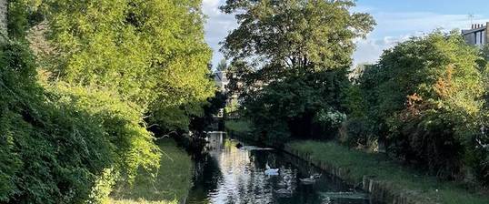 Haringey