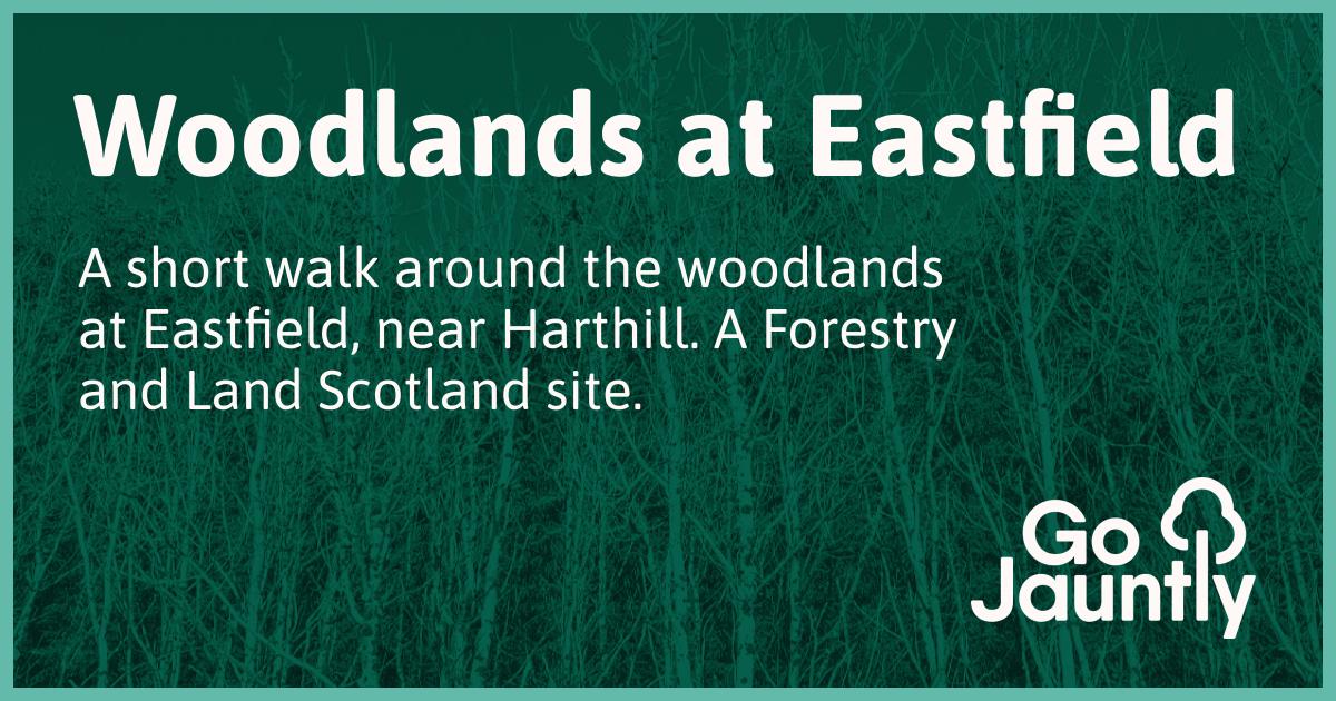 Woodlands at Eastfield Go Jauntly