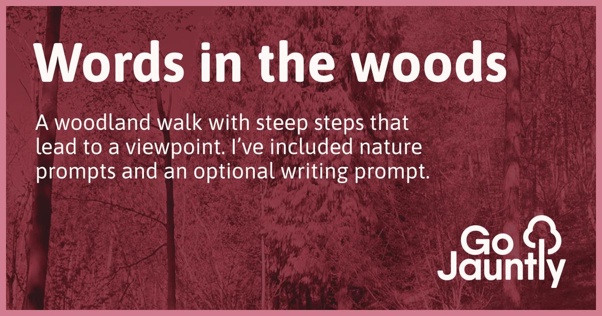 Words in the woods - Go Jauntly walk