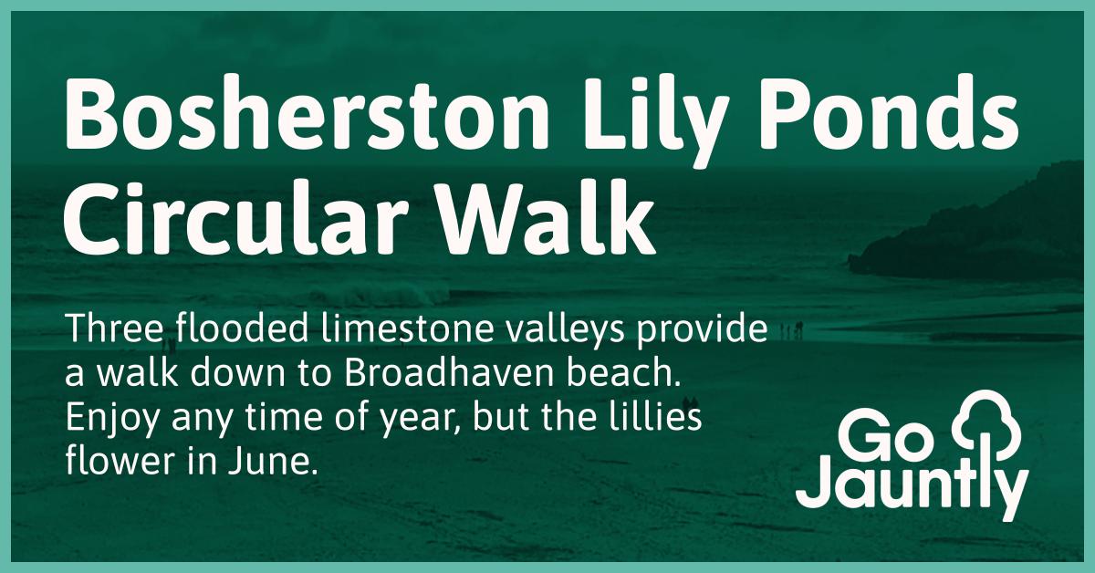 Bosherston Lily Ponds Circular Walk Go Jauntly